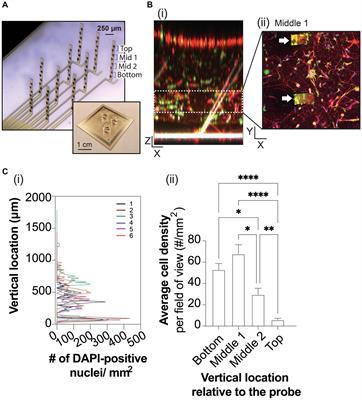 Spatiotemporal analysis of 3D human iPSC-derived neural networks using a 3D multi-electrode array